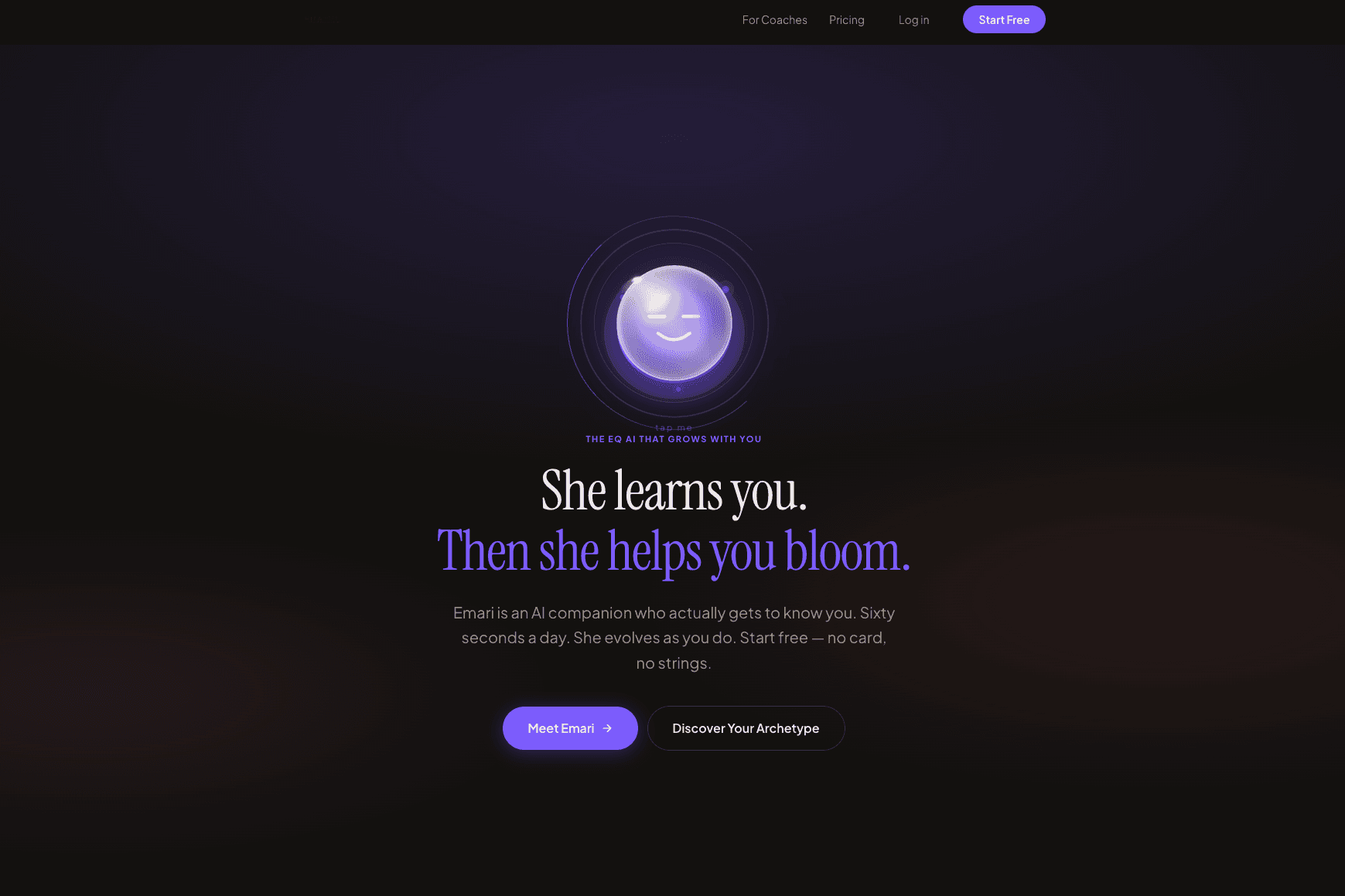 EMARI website screenshot